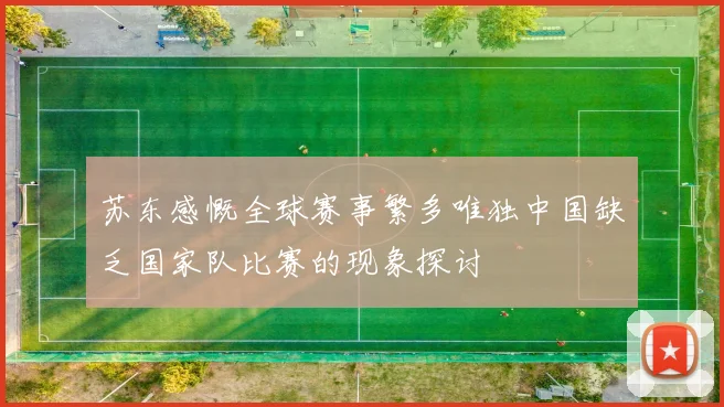 苏东感慨全球赛事繁多唯独中国缺乏国家队比赛的现象探讨