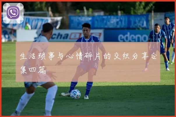 生活琐事与心情碎片的交织分享合集四篇