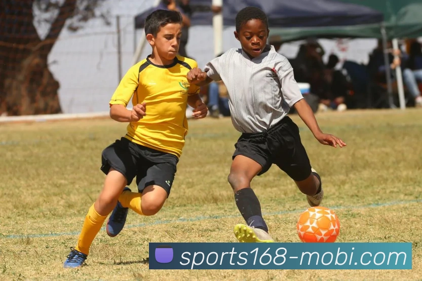 App Interface Preview