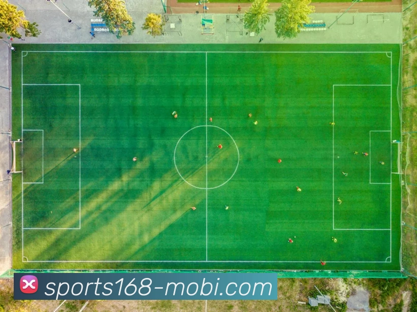 168体育APP 封面图